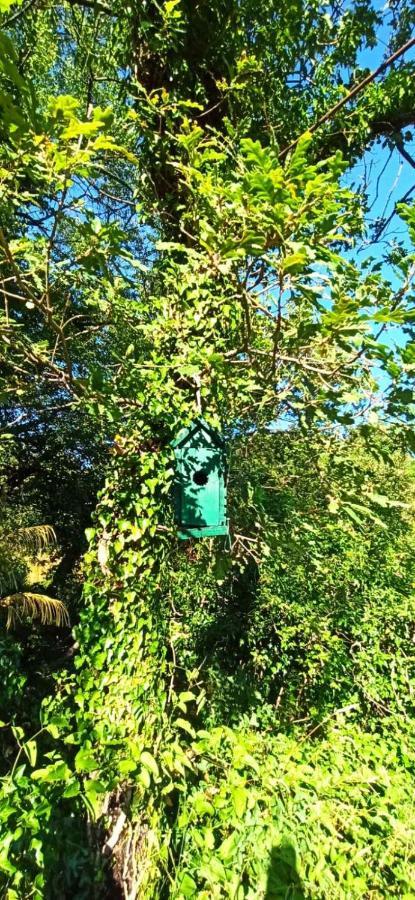 ヘルツェグ・ノヴィ Old House Djurovicヴィラ エクステリア 写真